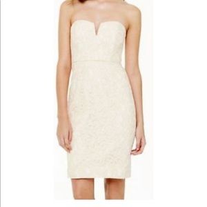 NWT jcrew champagne wedding dress